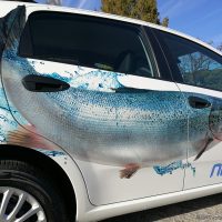 decorazioni automezzi