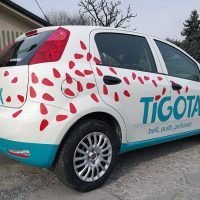decorazioni automezzi