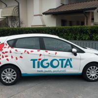 decorazioni automezzi